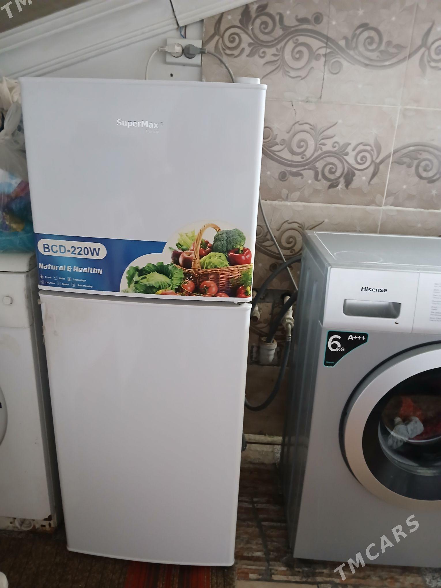 haladinlik - Кëши - img 1