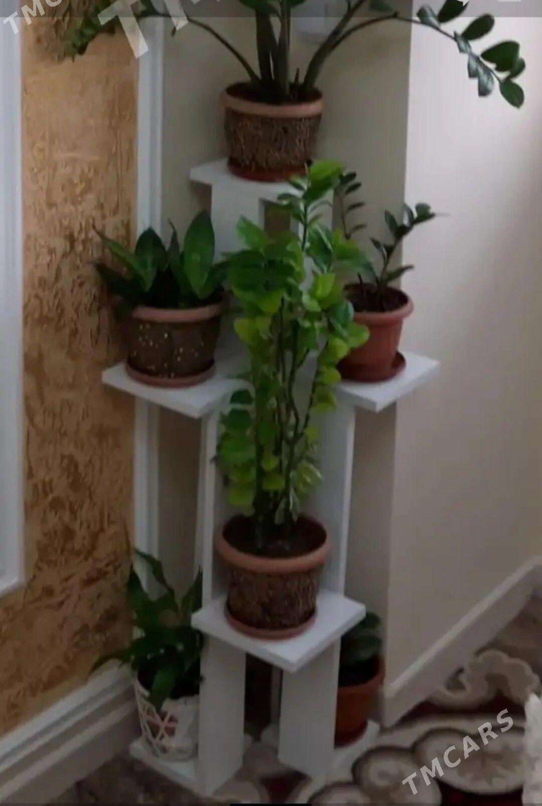 Mebel gul goyulyan pastavka - Ашхабад - img 1