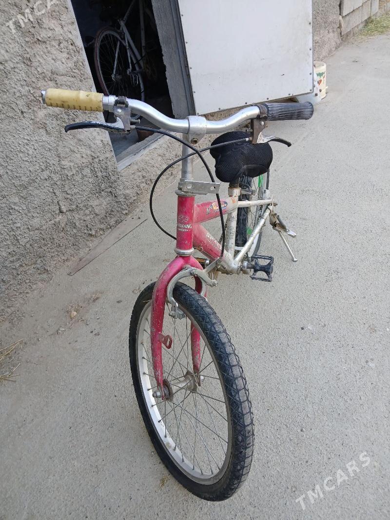 Tigir - Büzmeýin - img 1