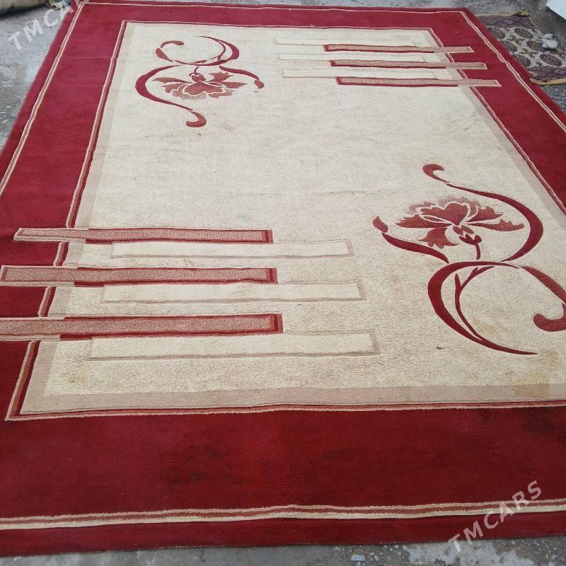 haly - Aşgabat - img 1