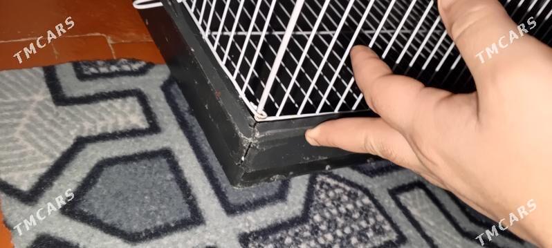 Guş setka - Daşoguz - img 1