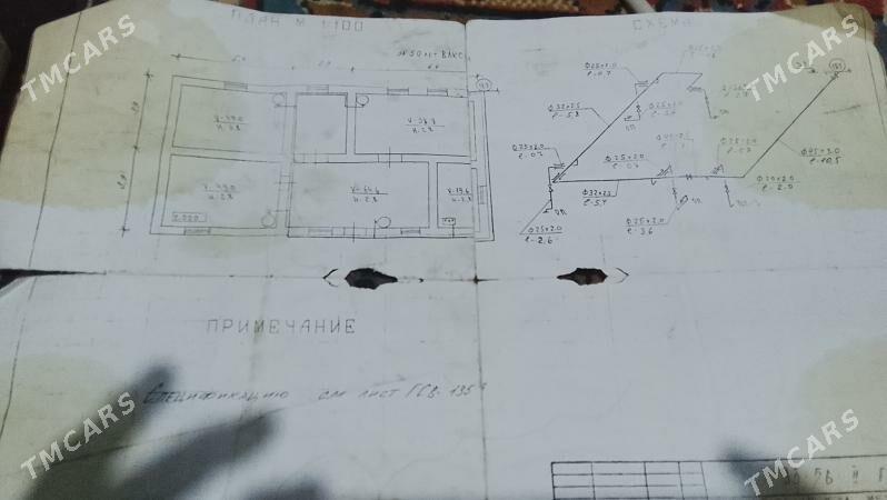 jay - Halaç - img 1