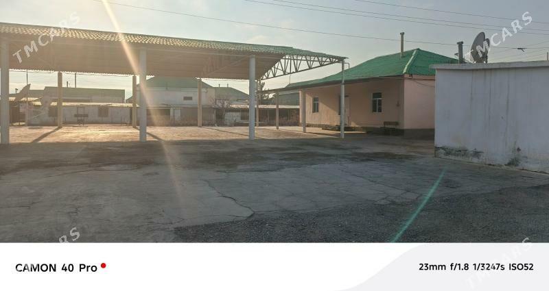 Satyk jaý Gypjak - Gypjak - img 1