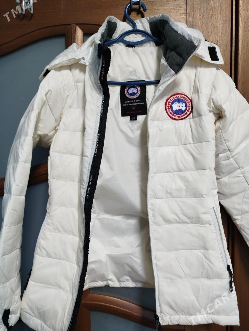 satlyk - Türkmenabat - img 1