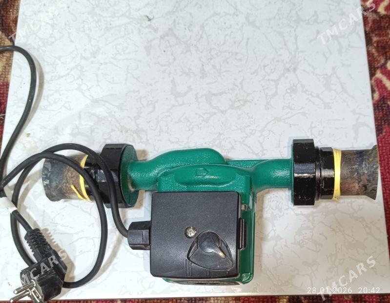 Atapleniya nasoz shimge - Daşoguz - img 1