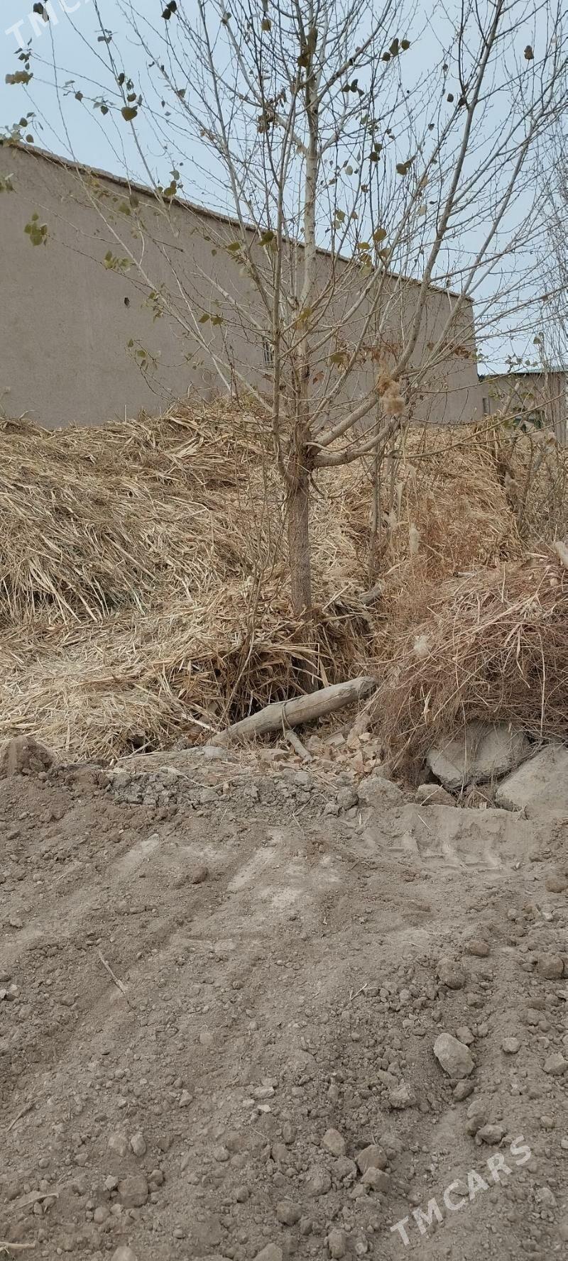 Mal oty.gowush.ak jő - Gurbansoltan Eje - img 1