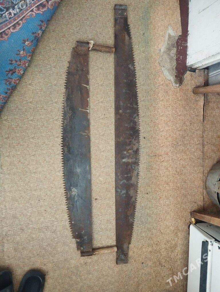 Пила дружба. Ары пычгы. - Aşgabat - img 1