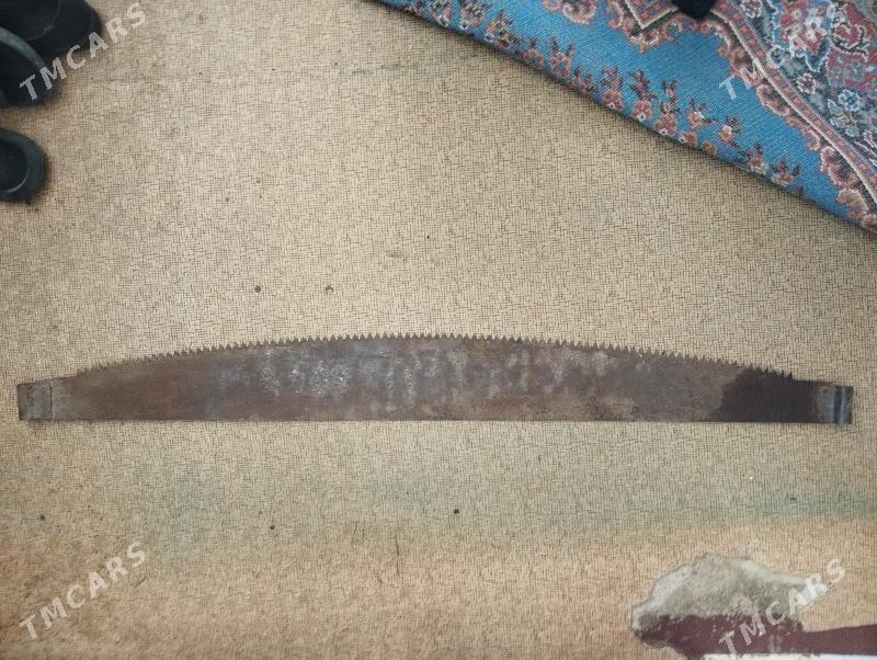 Пила дружба. Ары пычгы. - Ашхабад - img 1