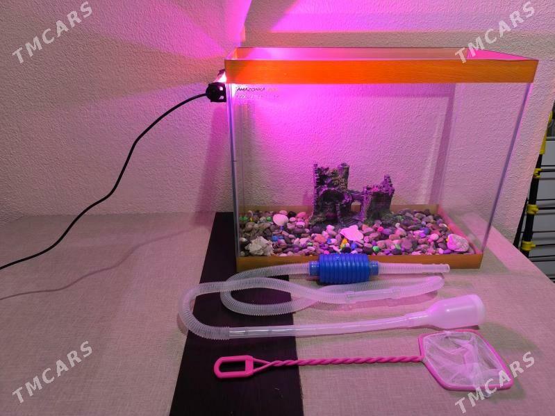 Аквариум - Aşgabat - img 1