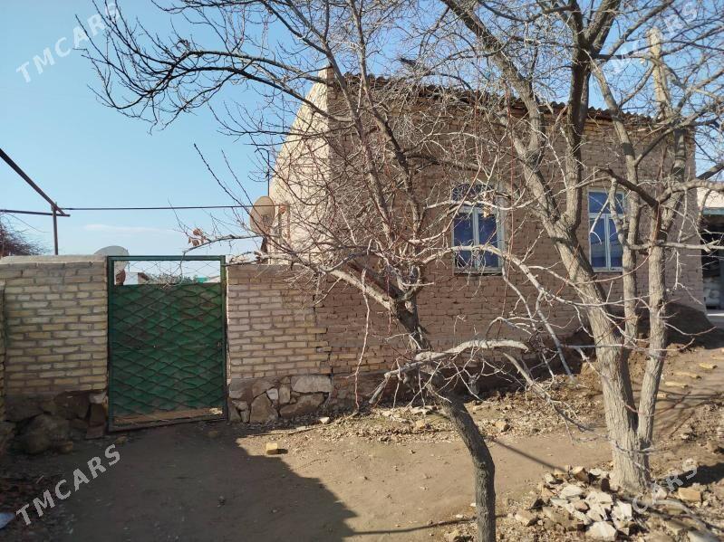 Satlyk jay - Hojambaz - img 1