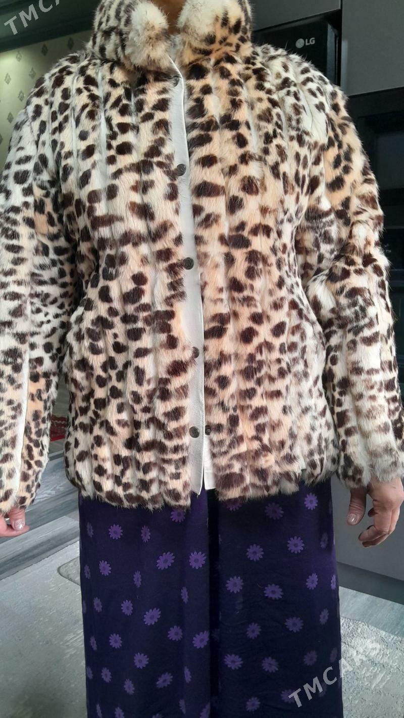 Шуба - Дашогуз - img 1