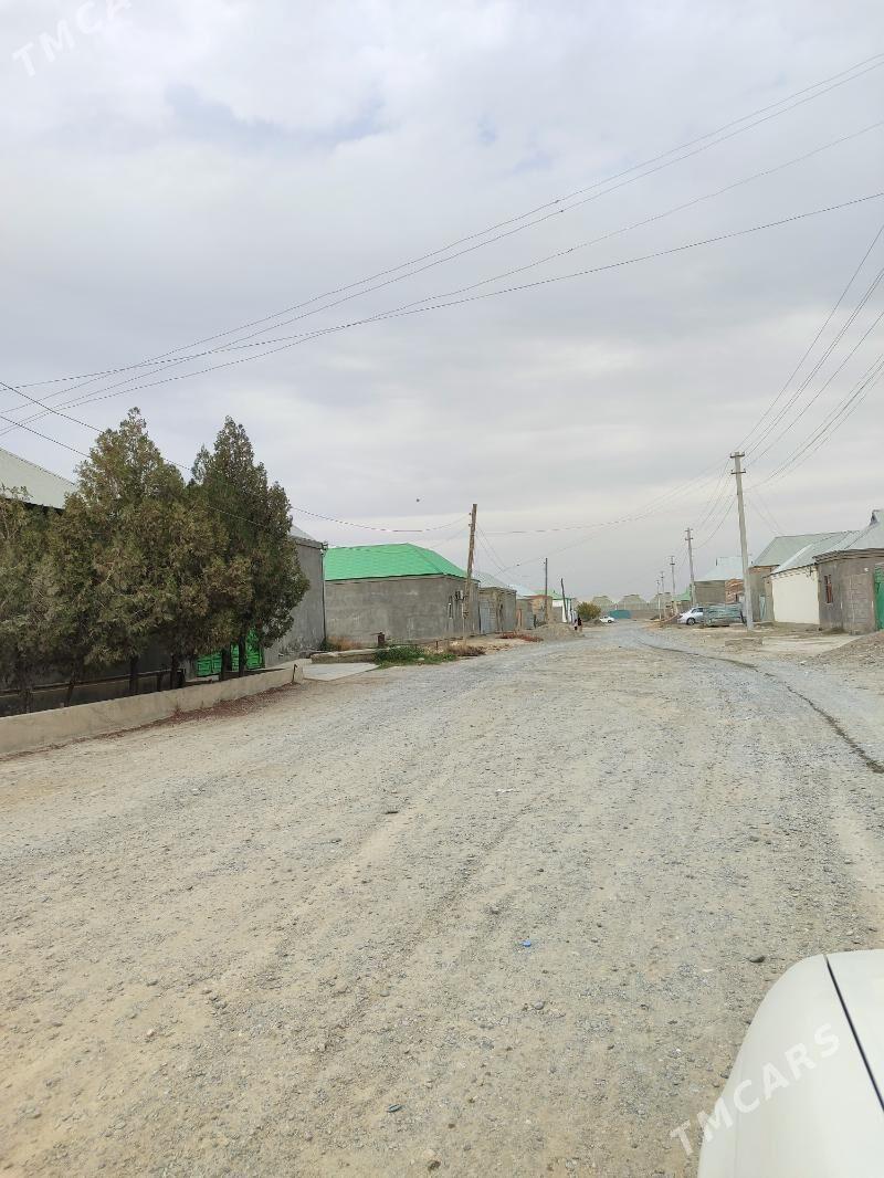 Ady satlyk jay - Bäherden - img 1