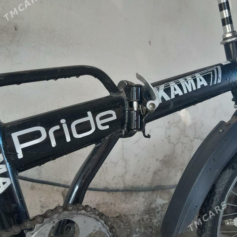 Kama - Чоганлы - img 1