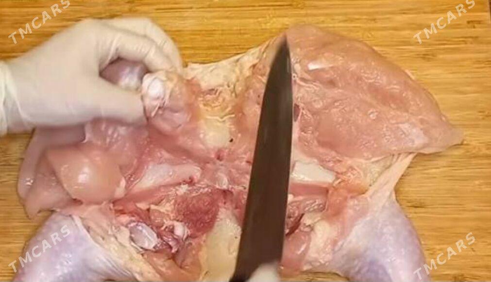 doner ucin obwalka - Türkmenabat - img 1