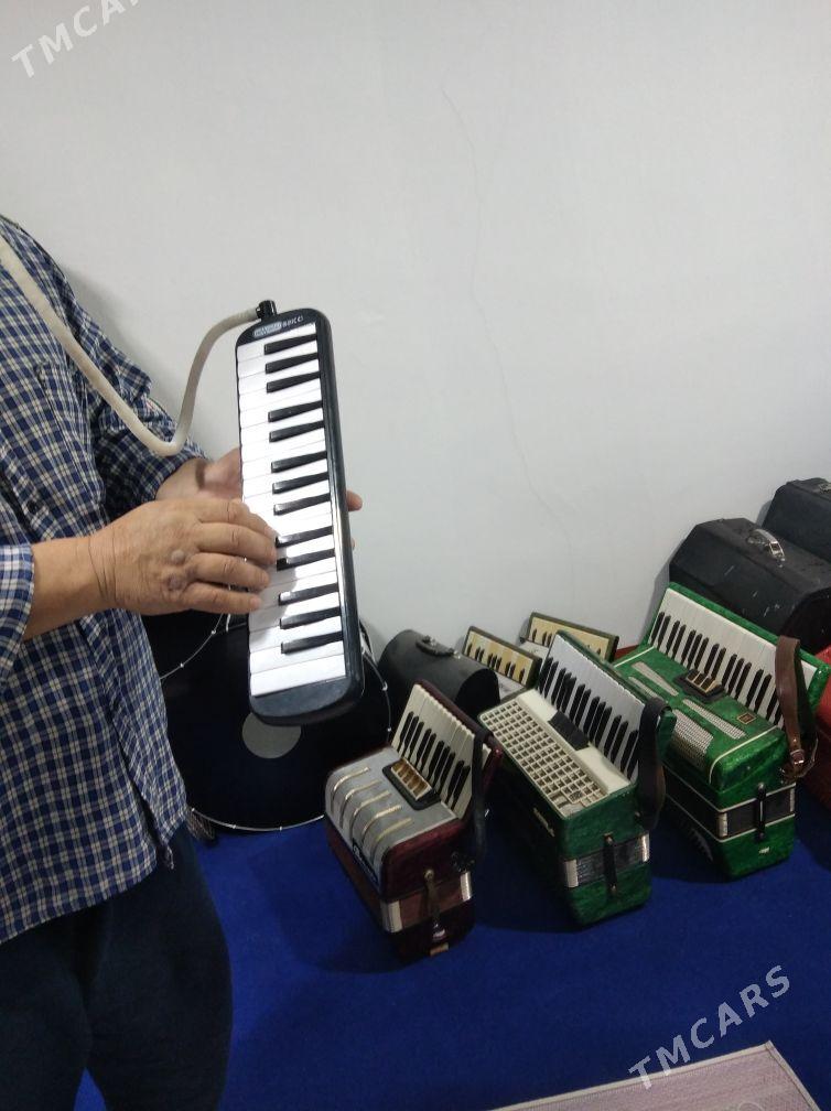 Akardeon Akkordeon - Halaç - img 1