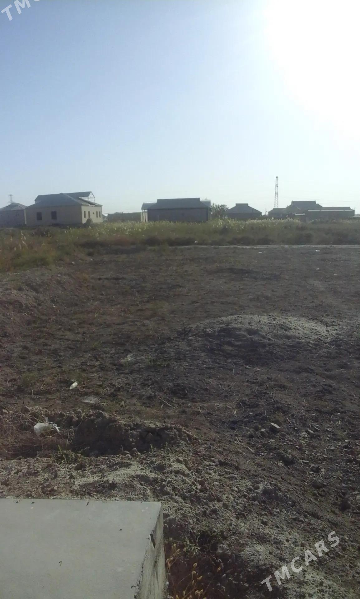 mellek - Mary - img 1