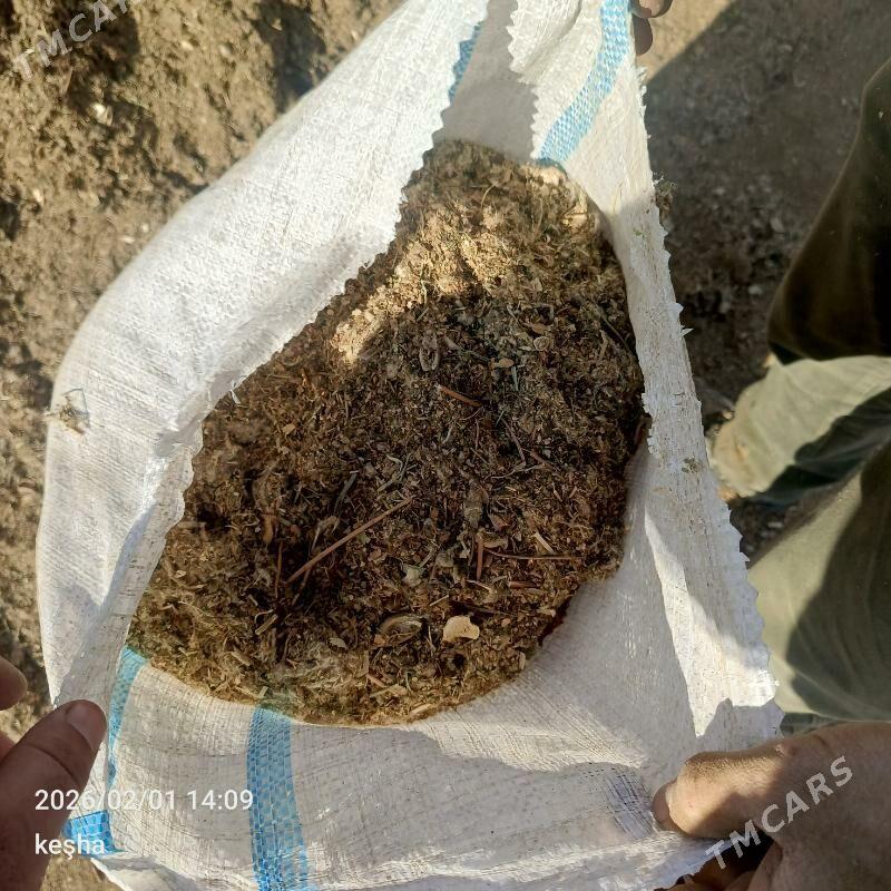 okuz - Бахарден - img 1