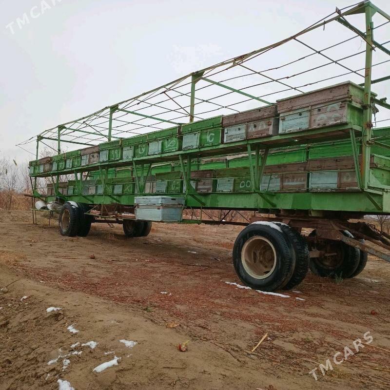 ary prisep - Байрамали - img 1