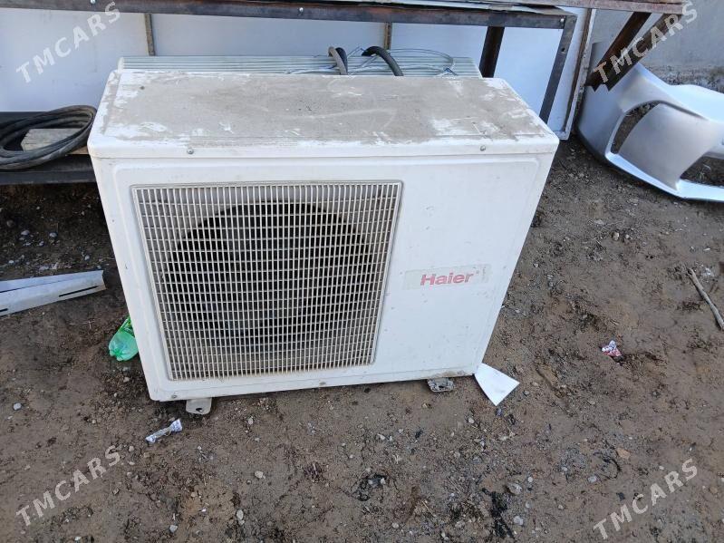 kansener - Багир - img 1