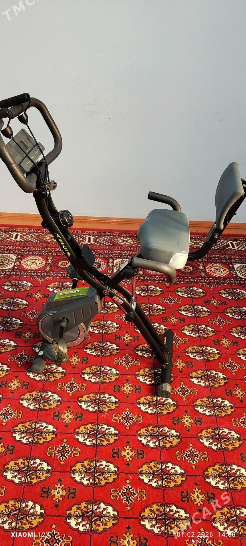 Welo Trenazor - Дашогуз - img 1