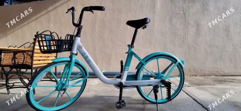 Ýapoşka tigir - Багир - img 1