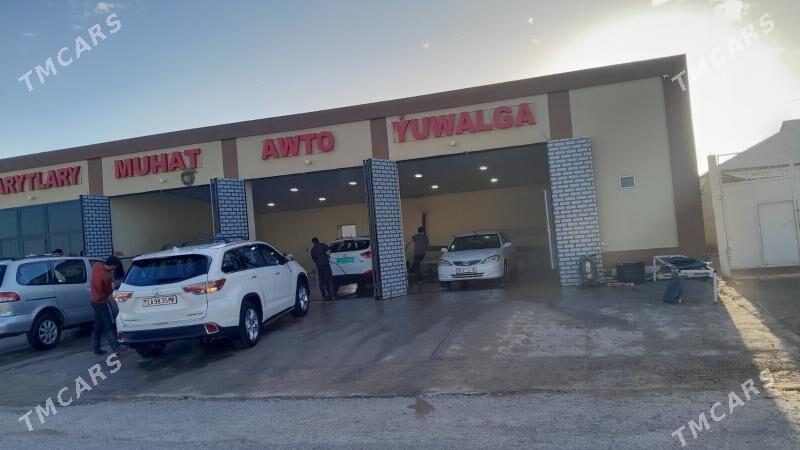 Moyka - Mary - img 1