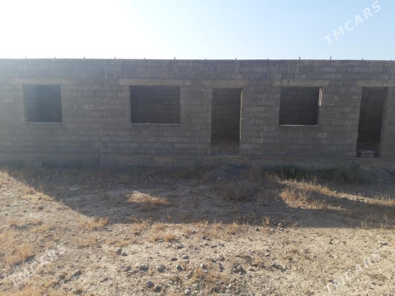 KAKADA SATLYK JAÝ - Кака - img 1