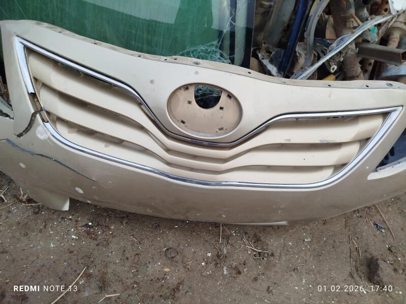 okuz kelle ablisovka 100 TMT - Daşoguz - img 1