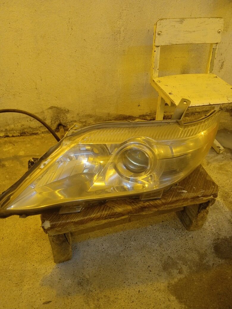 oküz kelle fara 550 TMT - Änew - img 1