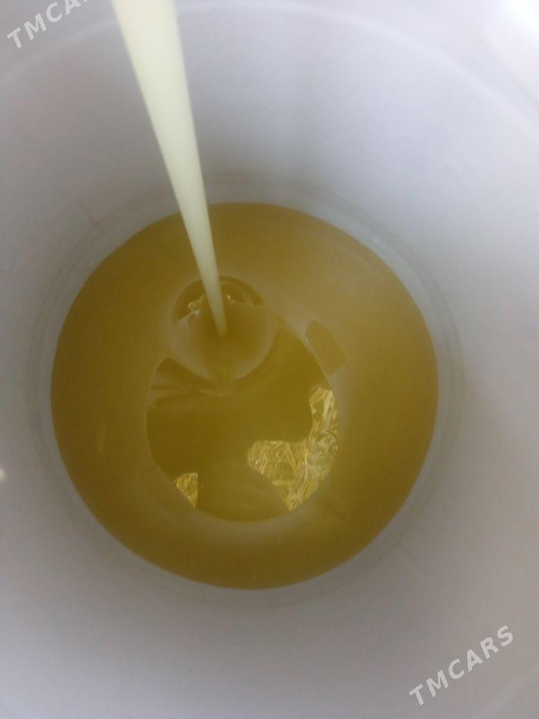 ary bal - Ёлётен - img 1