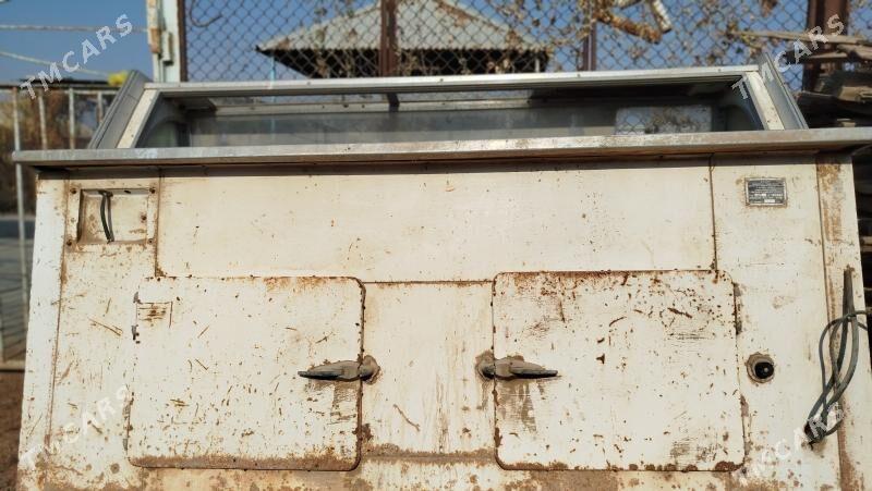 Weterino - Garagum etraby - img 1