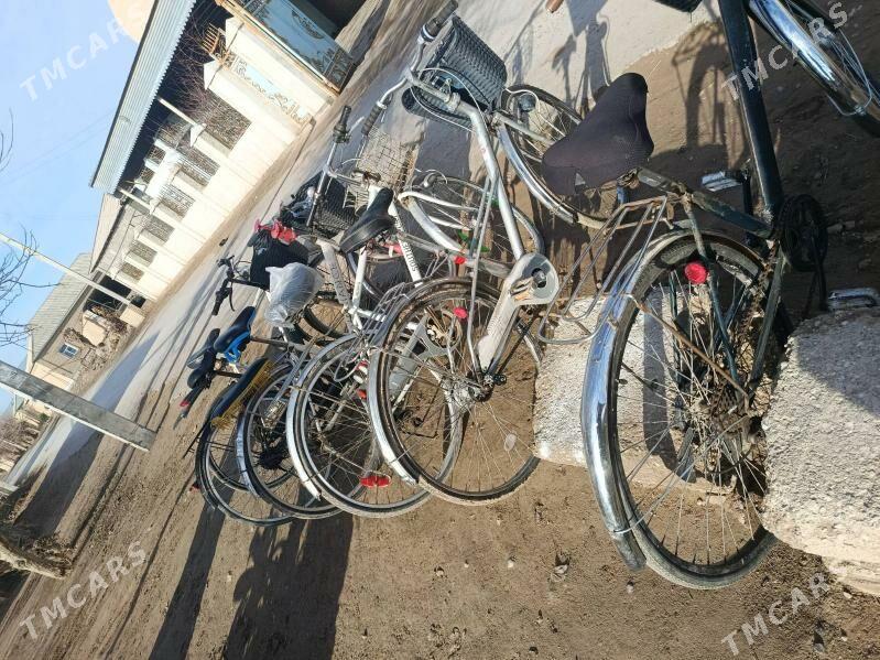 5sany27&6!1em28&6,xemmesi,4200 - Mary - img 1