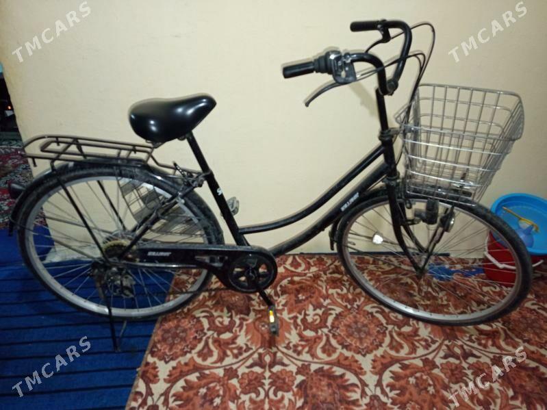 TIGIR SATLYK - Бузмеин - img 1