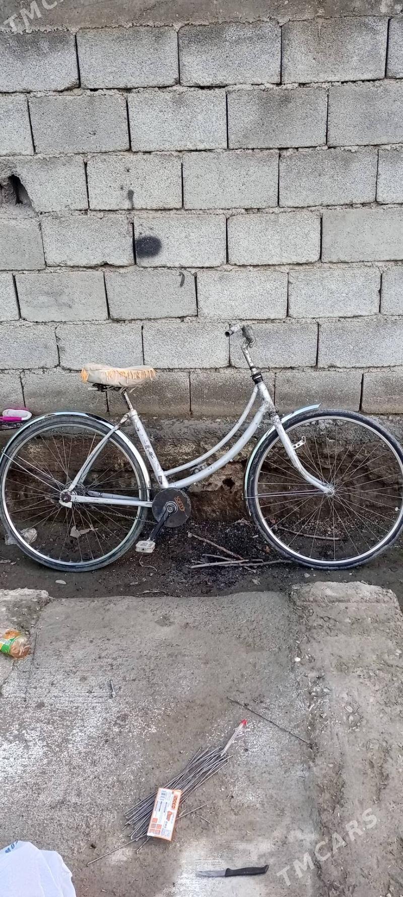 yapon tigir remenli - Гёкдепе - img 1