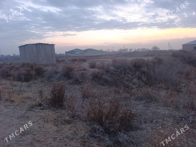 satlyk jay - Шабатский этрап - img 1