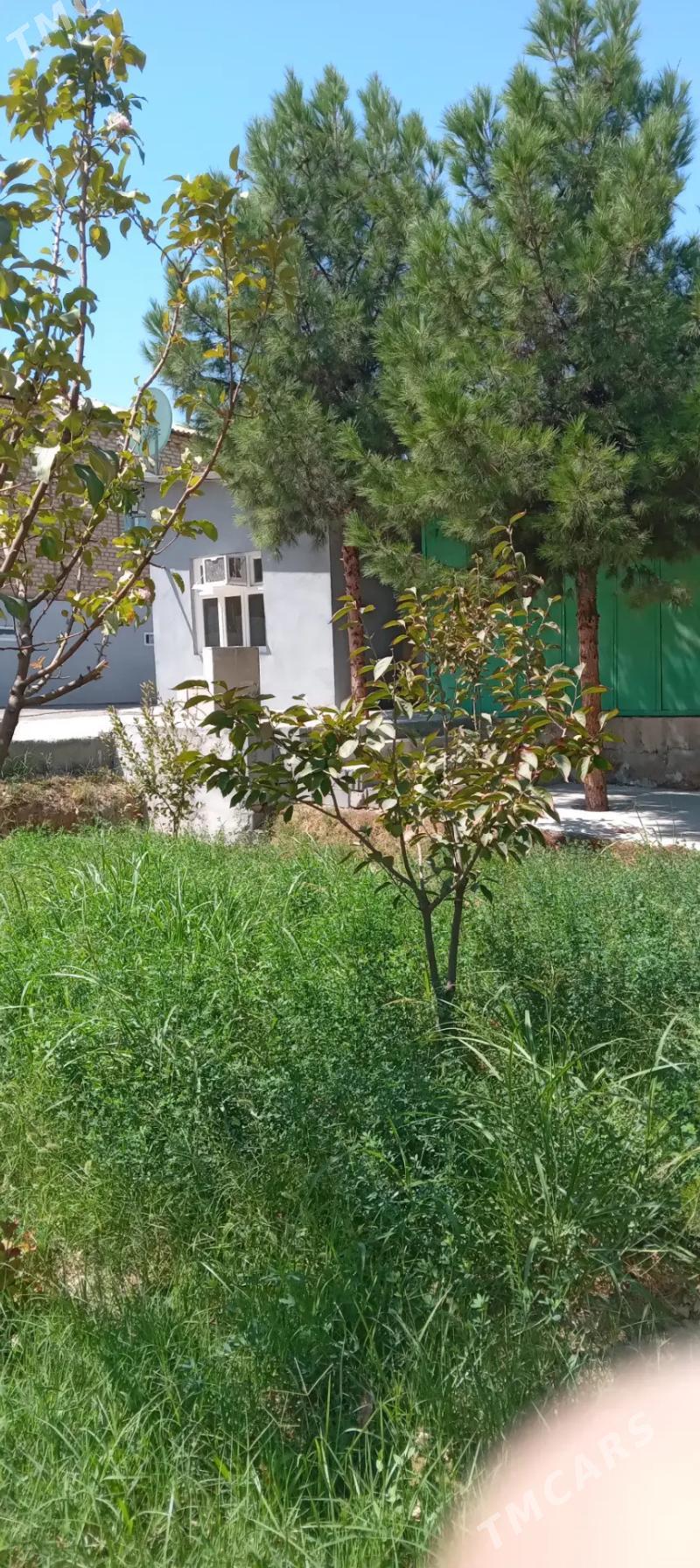 bay oba eyesinden ARENDA - Köşi - img 1