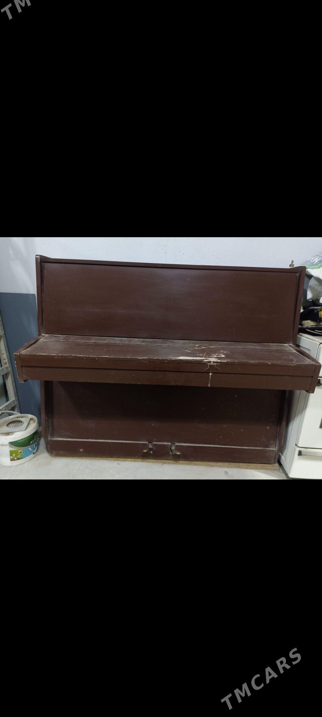 pionina пионина - Балканабат - img 1