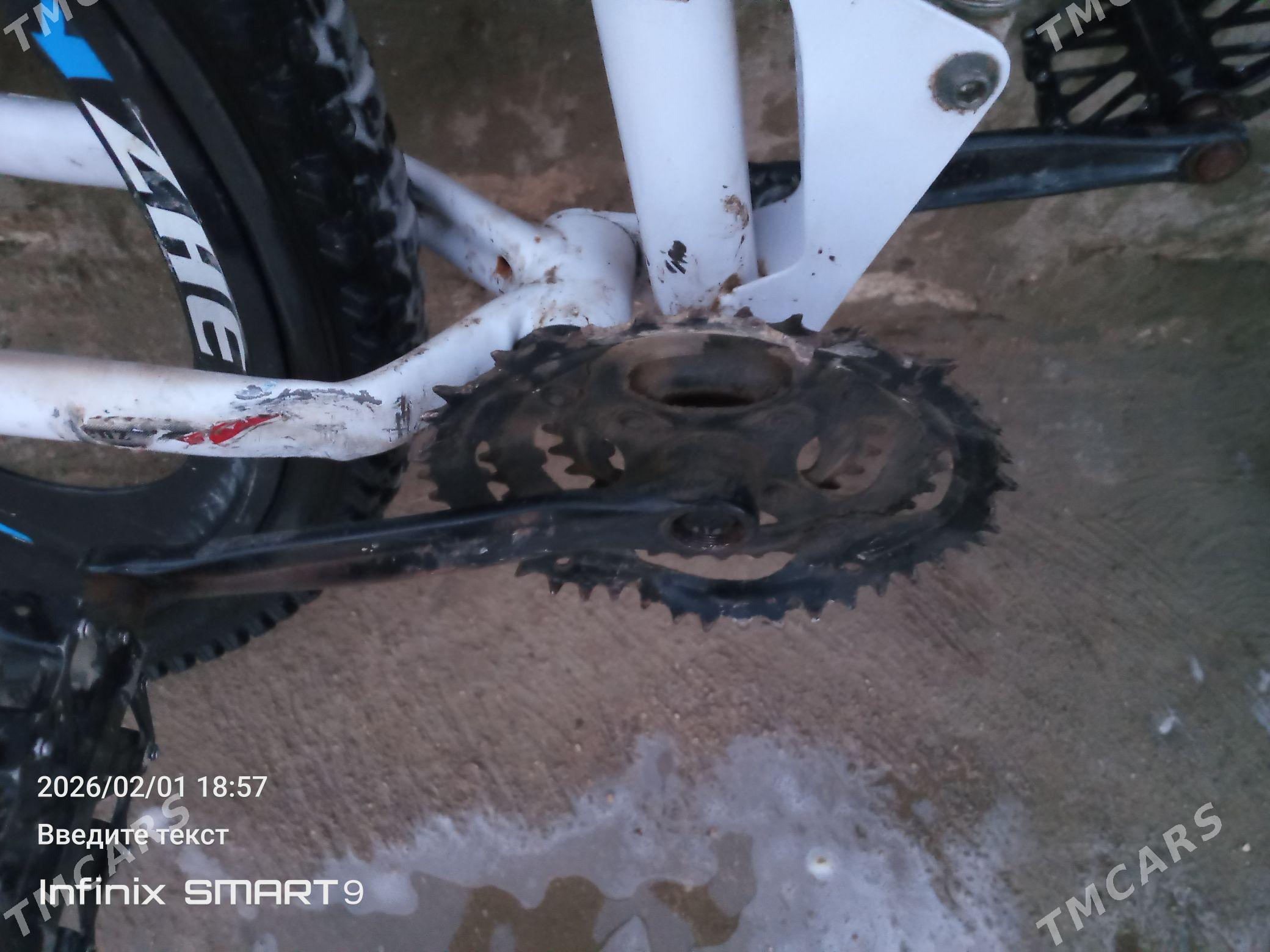 WELİKWELİK - Balkanabat - img 1