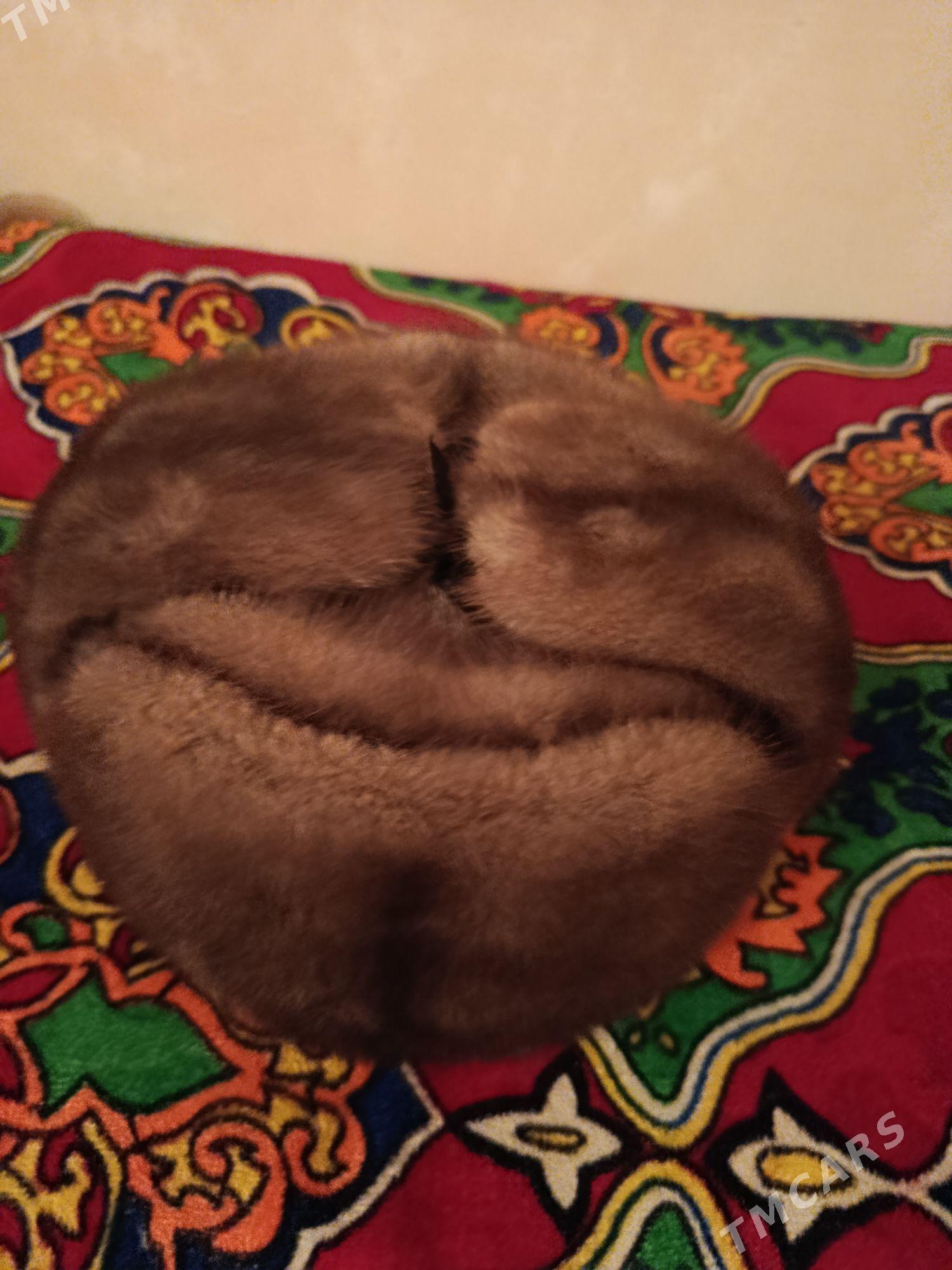 Норка Ушанка - Daşoguz - img 1