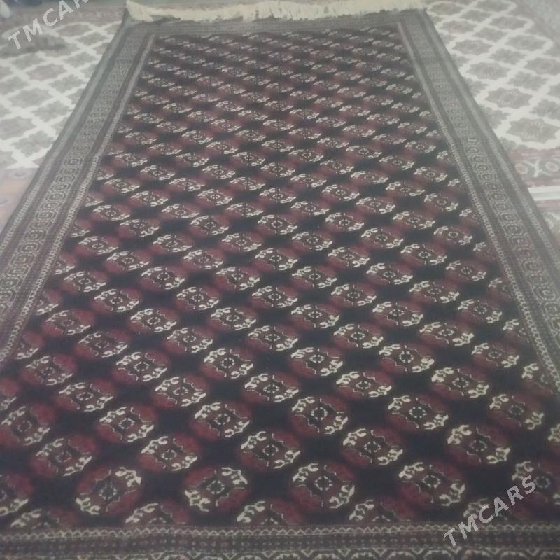 Haly - Esenguly - img 1