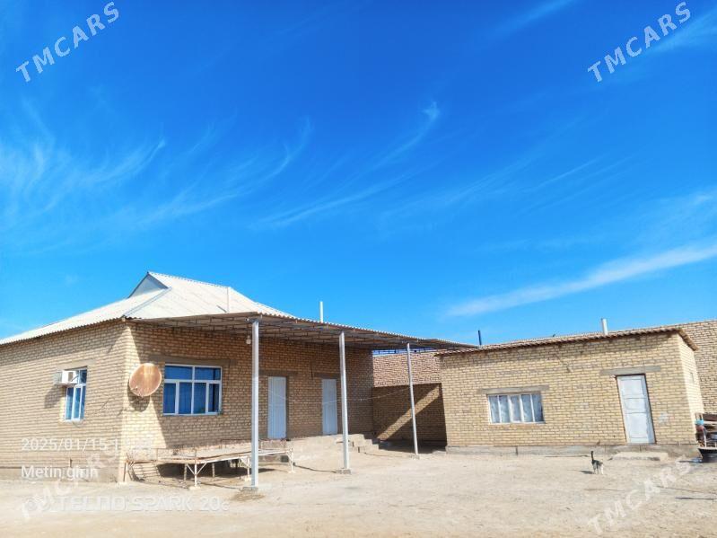 satlyk jay - Babadaýhan - img 1