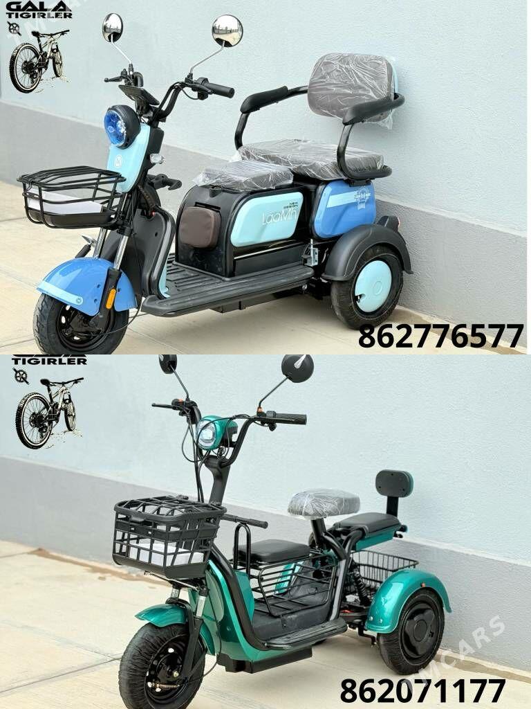 TOKLY TIGIR SAMAKAT GONCYK - Gurtly - img 1