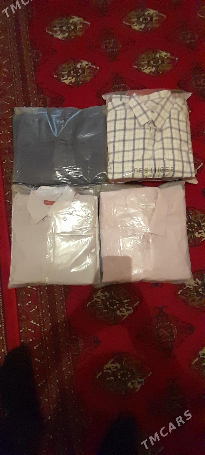 Erkek hb koýnekler - Дашогуз - img 1