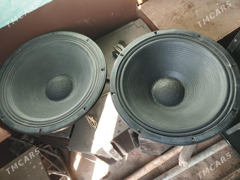 Tok dinamik - Sakarçäge - img 1