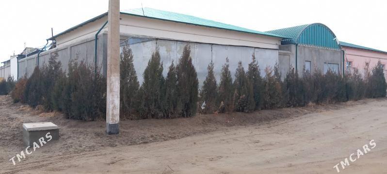 Satlyk Jay - Daşoguz - img 1