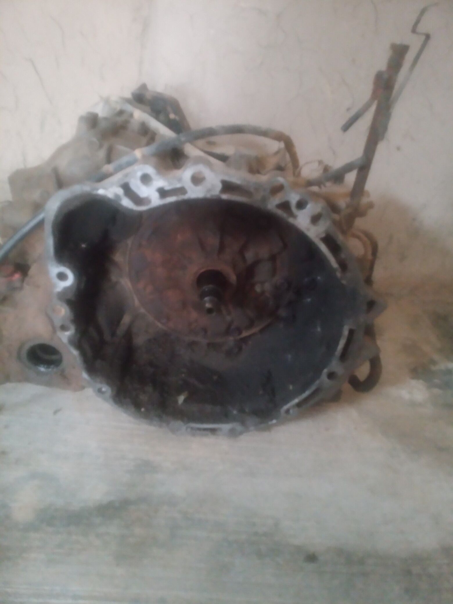 karopga 1 000 TMT - Görogly (Tagta) - img 1