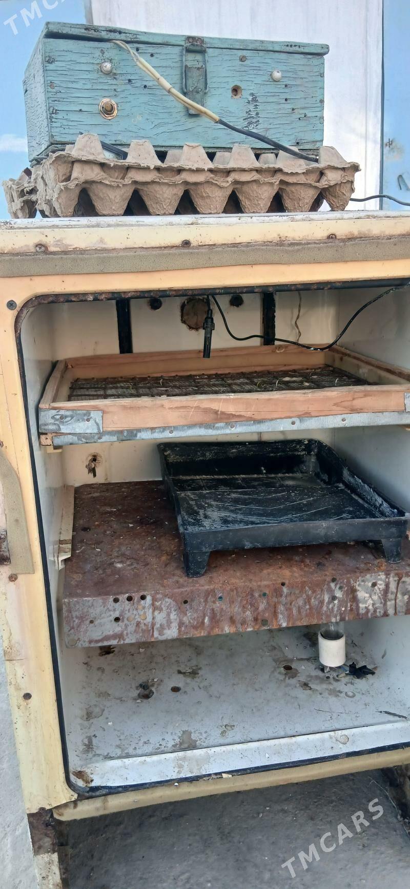 inkobator - Балканабат - img 1