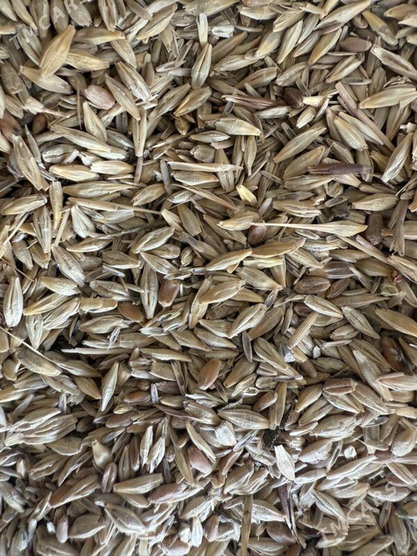 Arpa - Анев - img 1