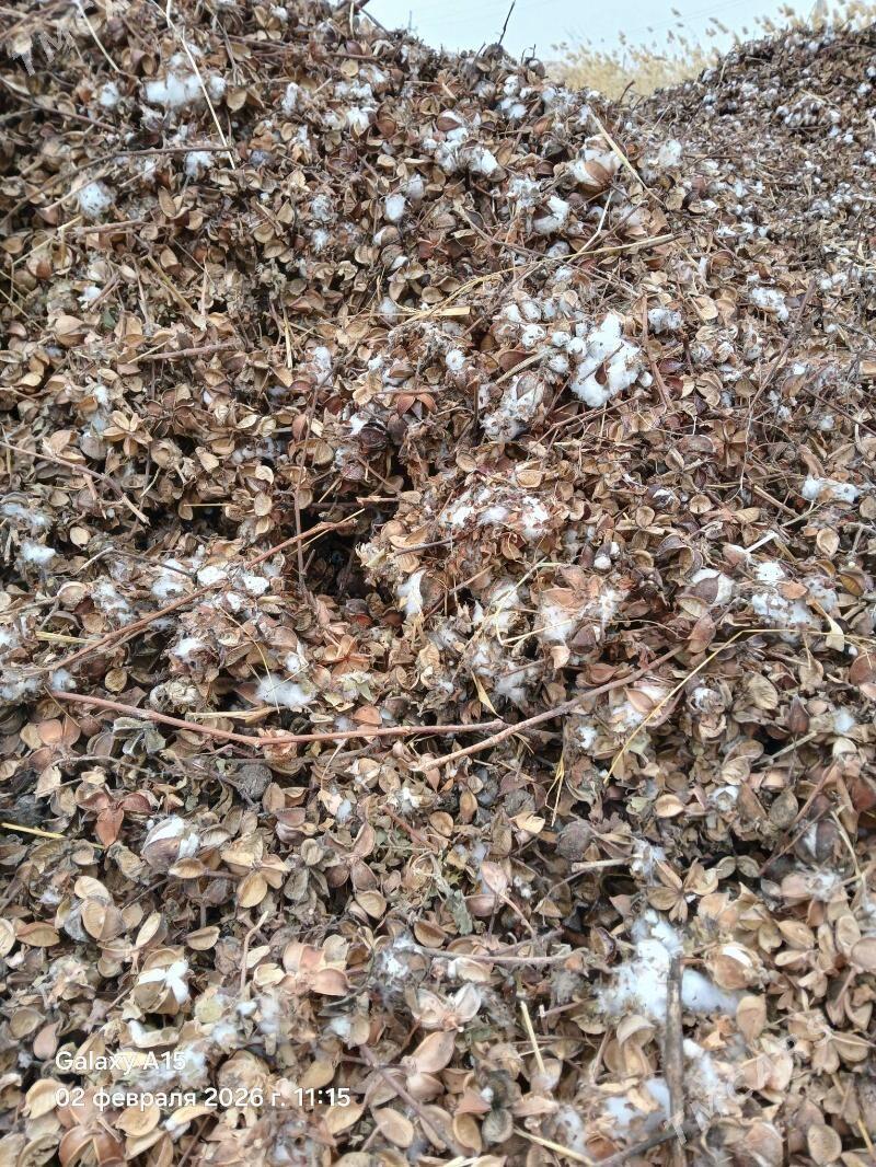 pagta canalak iym - Ходжамбаз - img 1