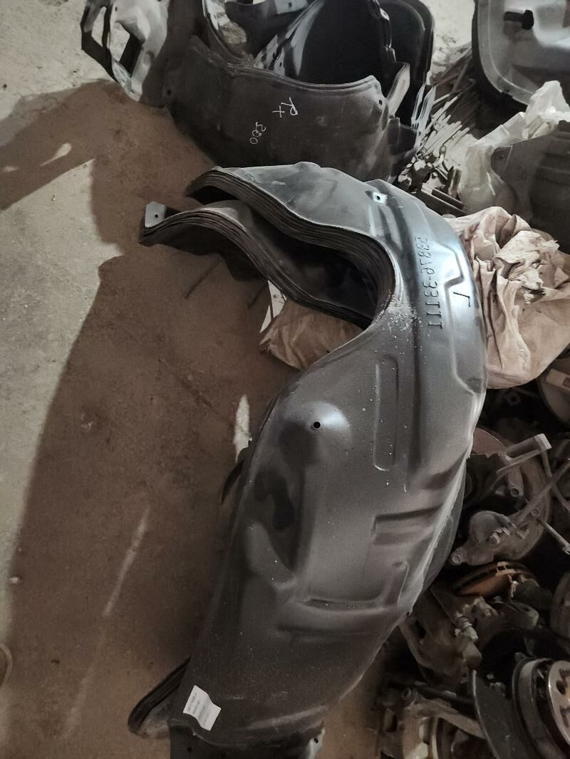 Patkrilnik kop gornus - Mary - img 1